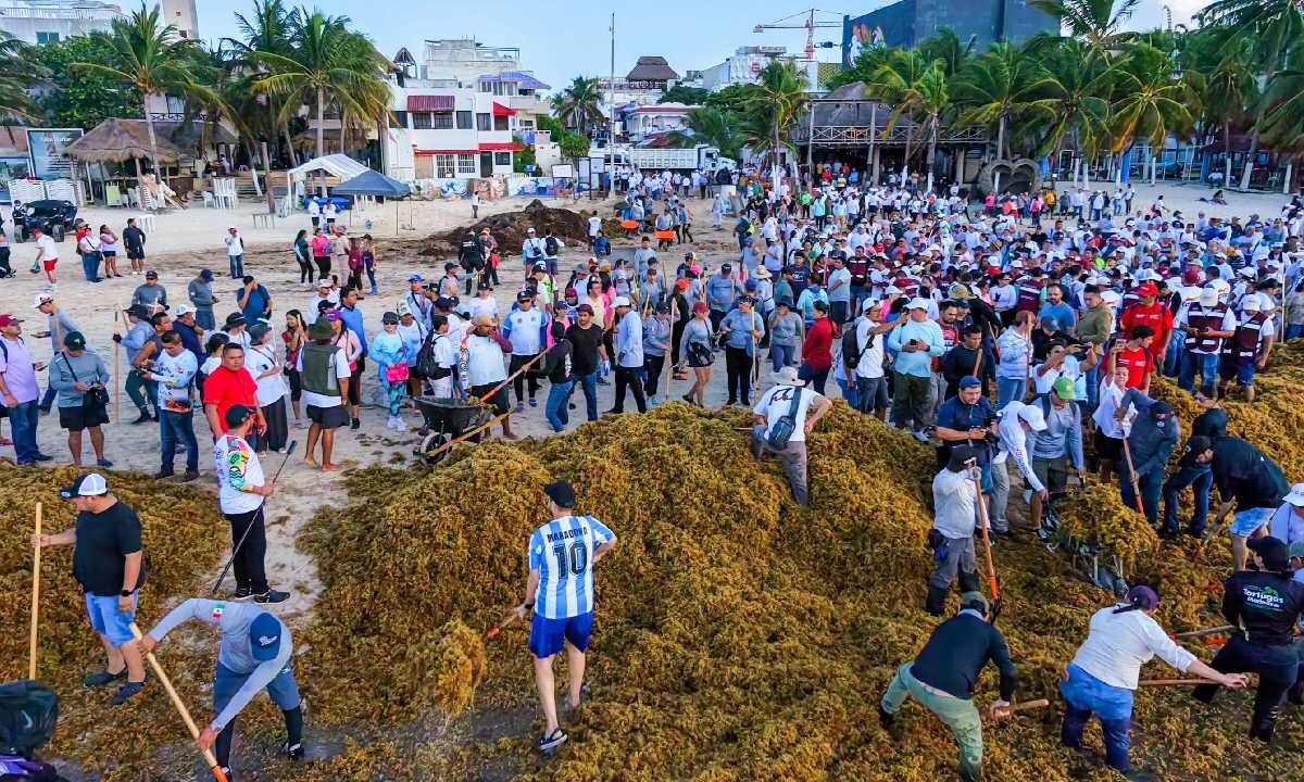 Retiro de sargazo en Playa del Carmen.