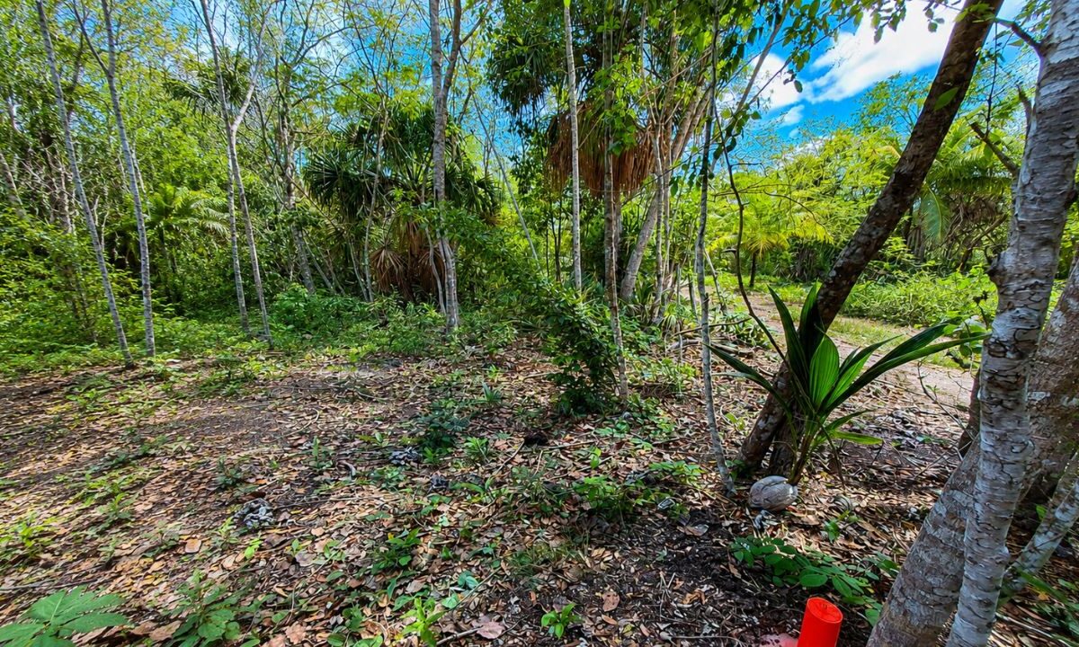 Fraude inmobiliario en Bacalar afecta a más de 200 familias