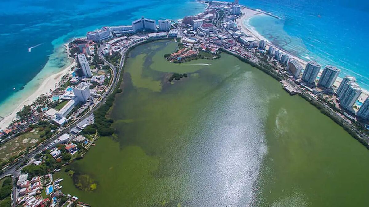 Barreras antisargazo en Quintana Roo blindarán laguna Nichupté