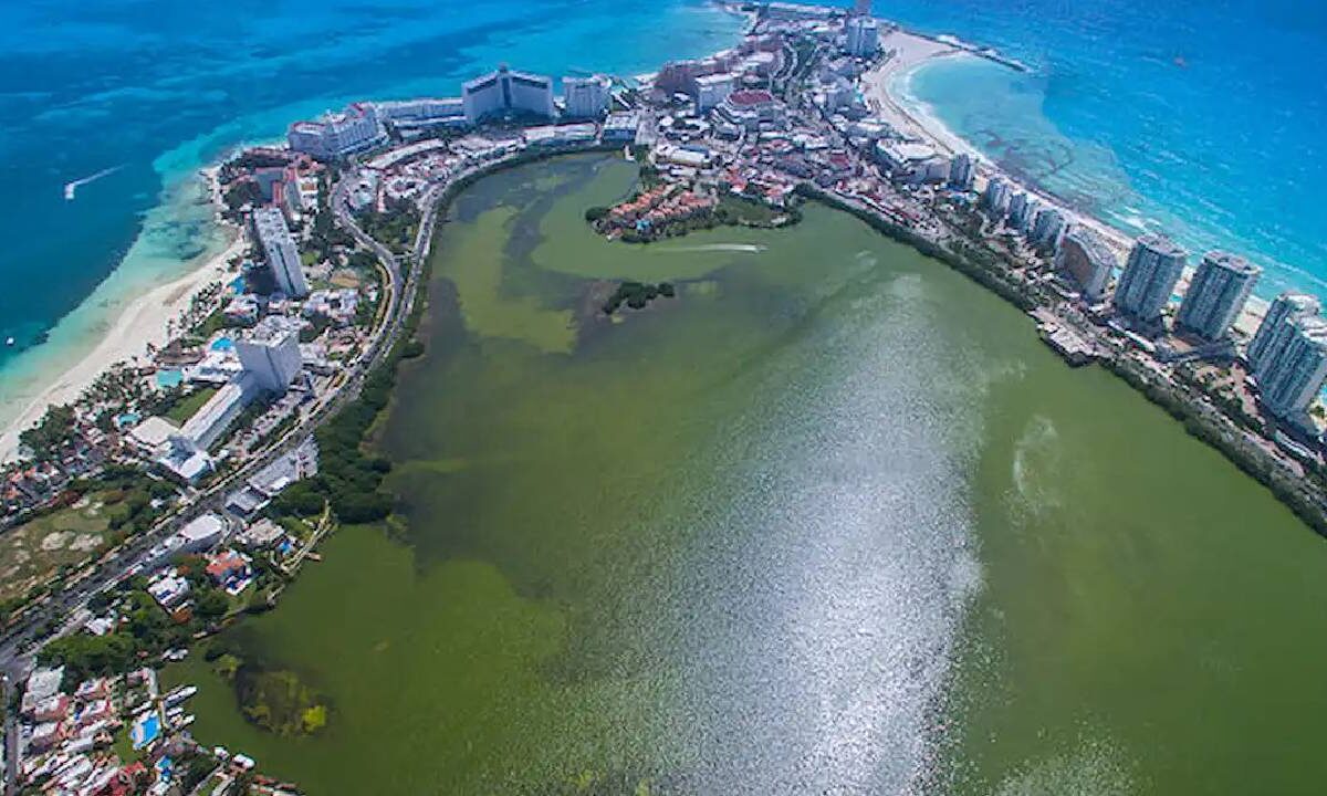 Barreras antisargazo en Quintana Roo blindarán laguna Nichupté