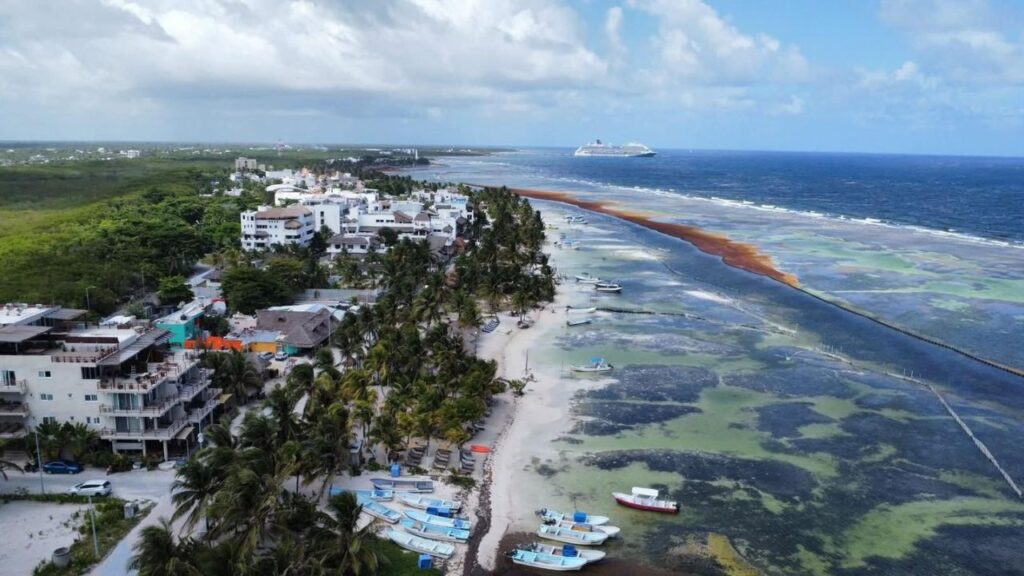 PDU de Othón P. Blanco: Exigen revertir uso de suelo en Mahahual