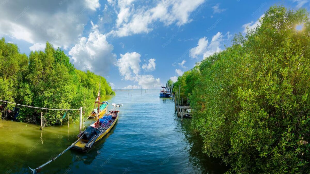 Refugio de embarcaciones en Cancún, en riesgo ante huracanes
