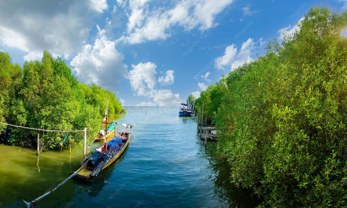 Refugio de embarcaciones en Cancún, en riesgo ante huracanes