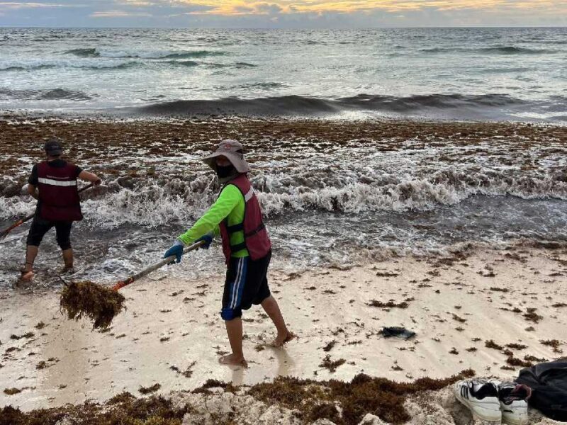 Sargazo pone a prueba al Caribe Mexicano y Quintana Roo responde con el mayor operativo de contención