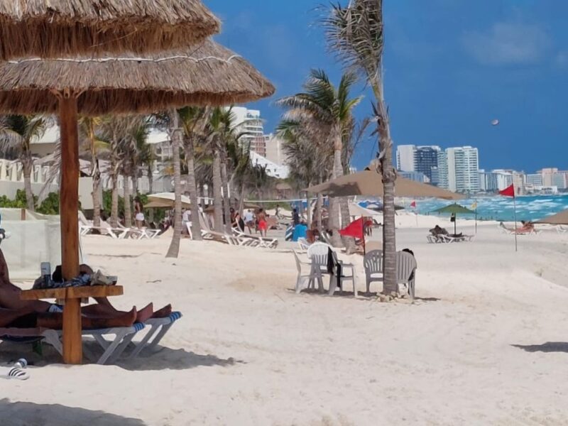 ¿Sargazo como negocio? La propuesta del Consejo Hotelero al Senado para mantener la competitividad