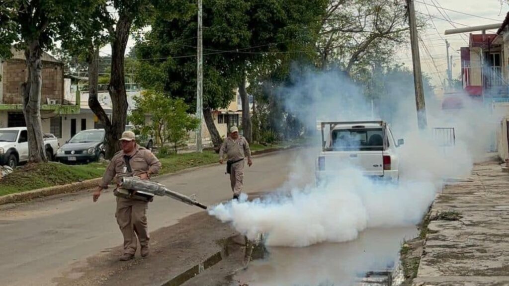 Calendario de fumigación del 8 al 12 de junio. ¿Qué colonias toca? Aquí te decimos