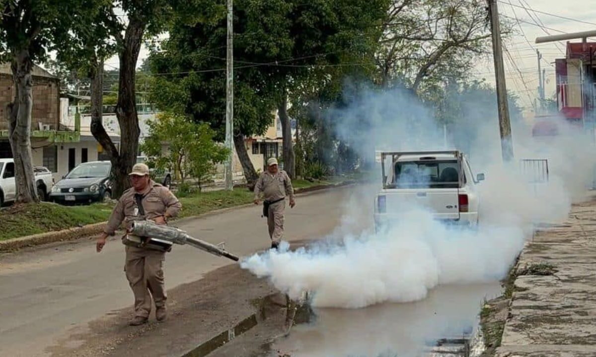 Calendario de fumigación en Quintana Roo: del 8 al 12 de junio