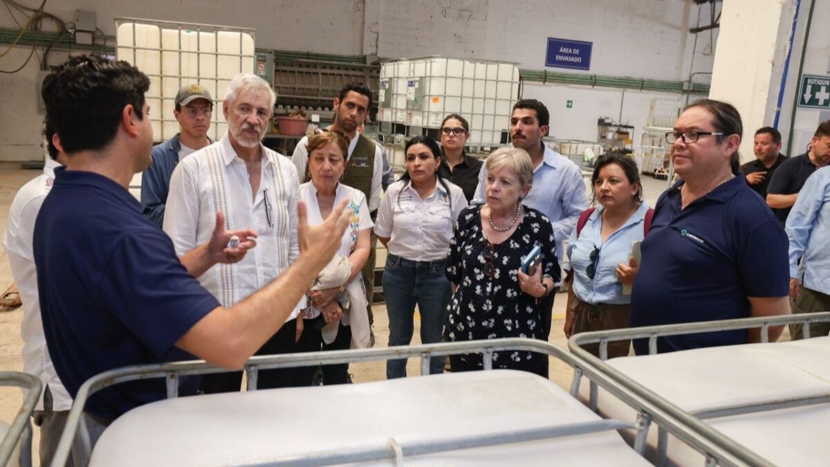 Sargazo en Puerto Morelos: Semarnat upervisa acciones