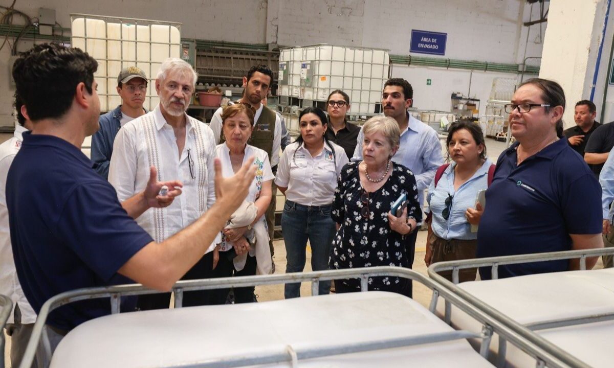 Sargazo en Puerto Morelos: Semarnat upervisa acciones