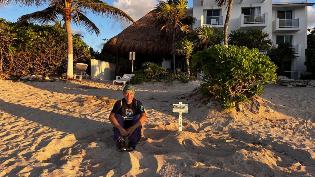 Anidación de tortugas marinas en Akumal