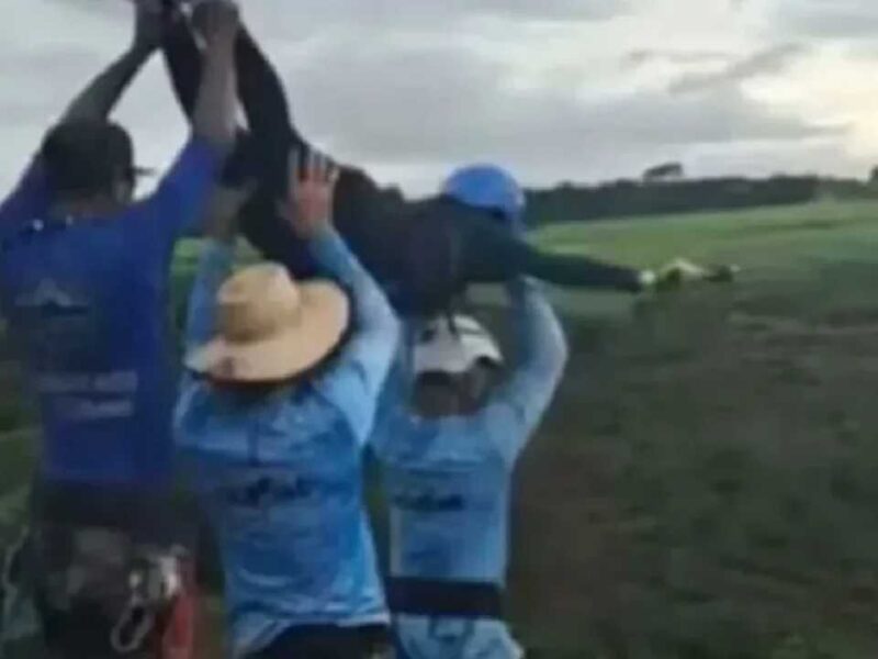 ¡Viral! Da la vuelta al mundo video de la muerte de una mujer tras salto de bungee sin cuerda en Brasil (video)
