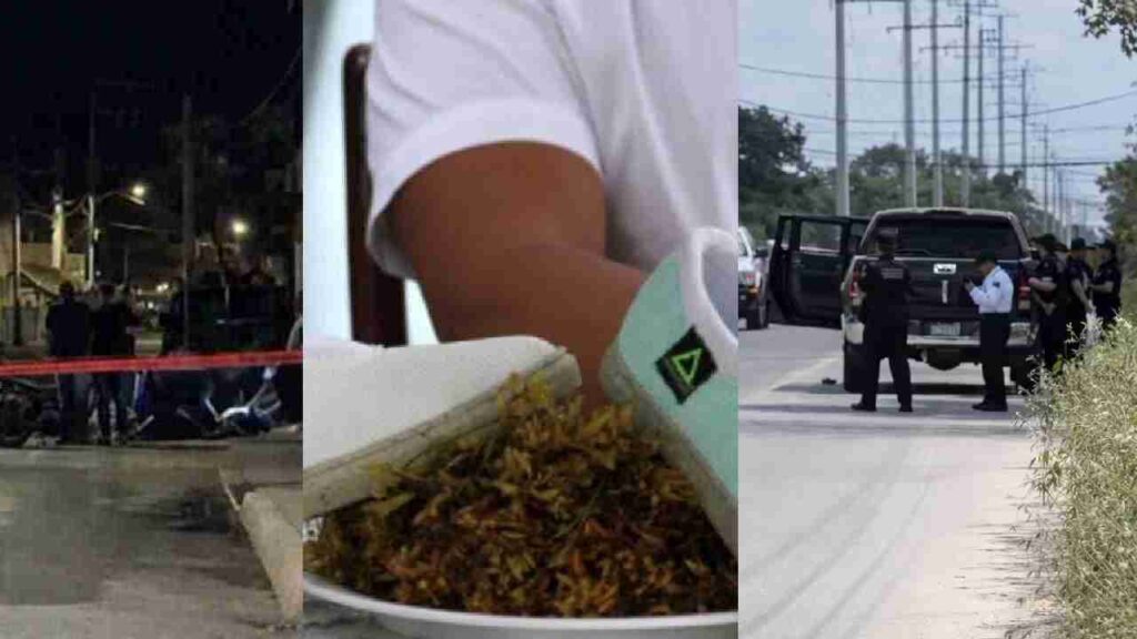 24 Horas Quintana Roo.📢 Las últimas noticias del martes 28 de julio de 2026