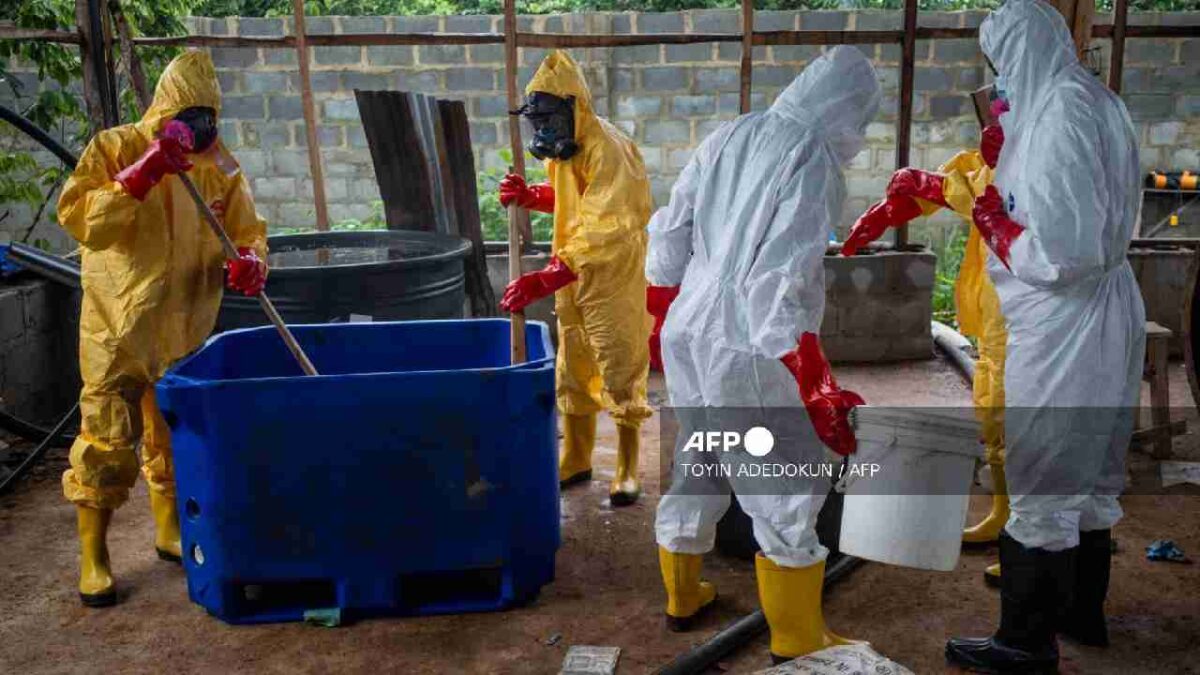 Hallan narcolaboratorio en Nigeria.