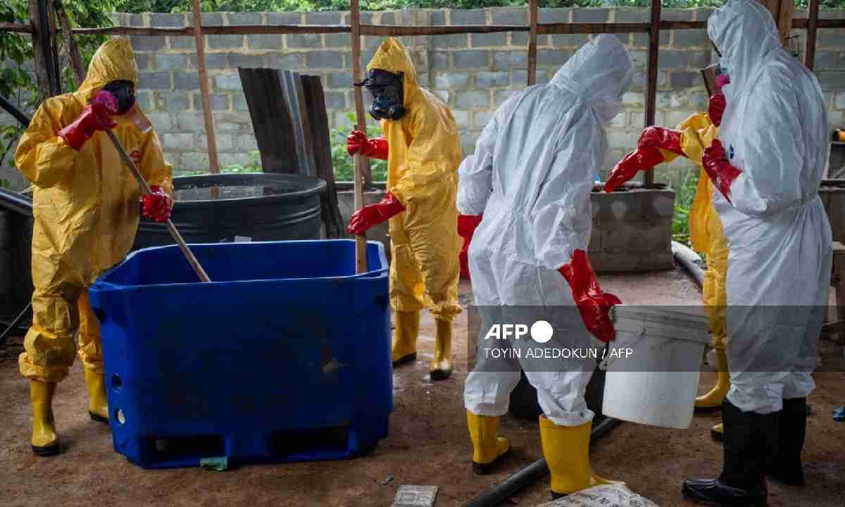 Hallan narcolaboratorio en Nigeria.