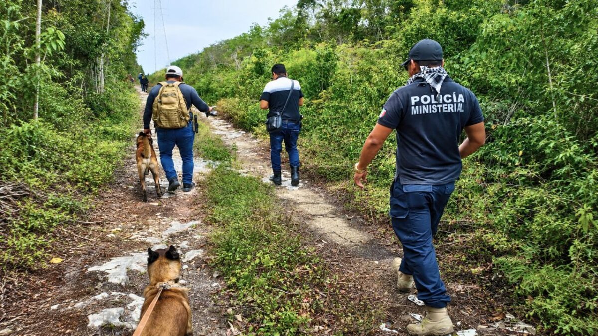 Buscan a 17 extranjeros desaparecidos en Quintana Roo