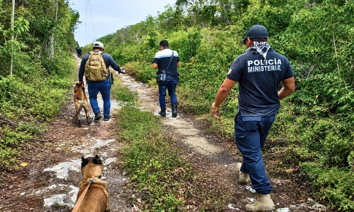 Buscan a 17 extranjeros desaparecidos en Quintana Roo