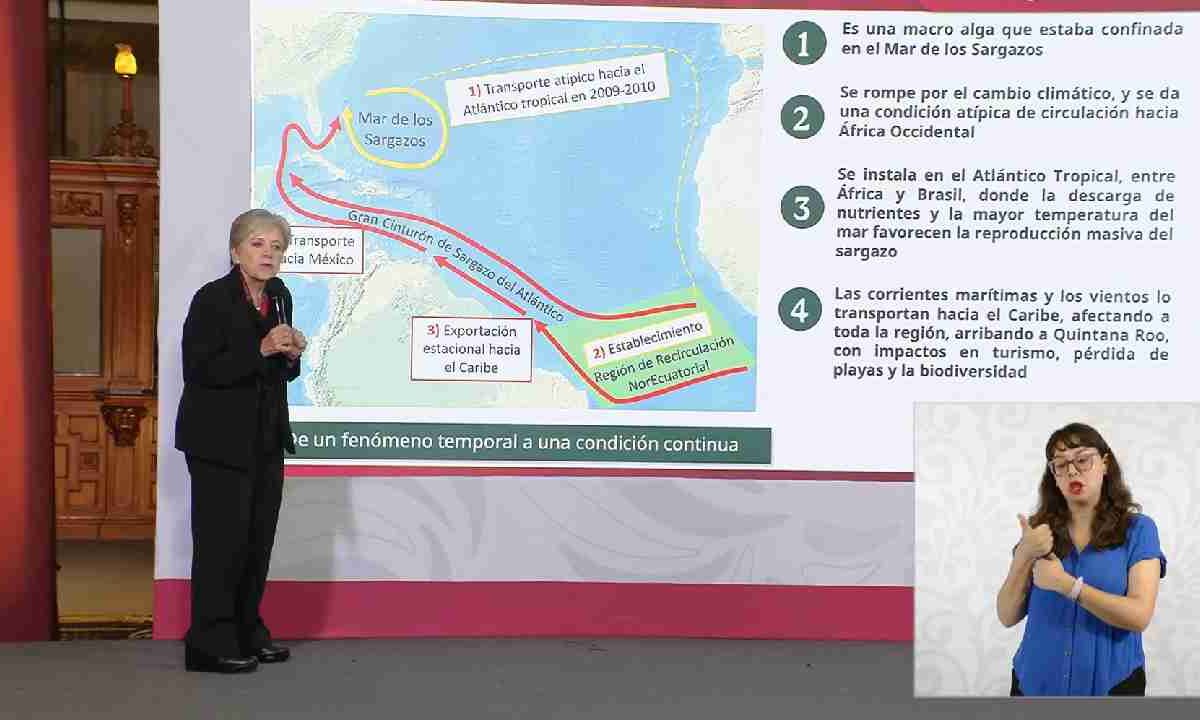 Habrá encuentro internacional sobre sargazo en Cancún.