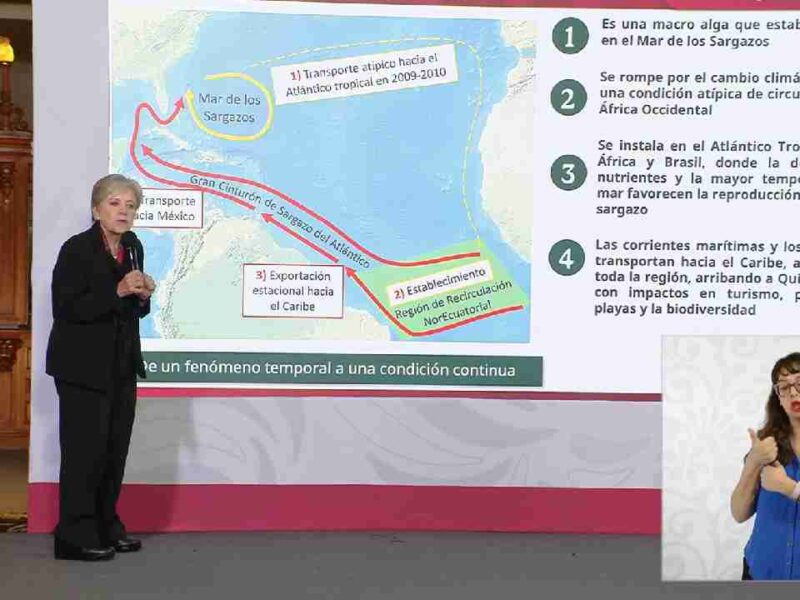 Cancún, sede de encuentro internacional para dar solución al arribo masivo de sargazo