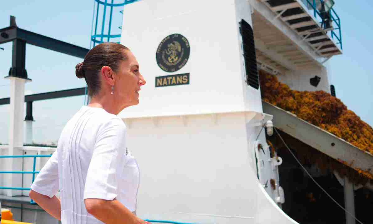 Se trabaja en el tema del sargazo en Quintana Roo.