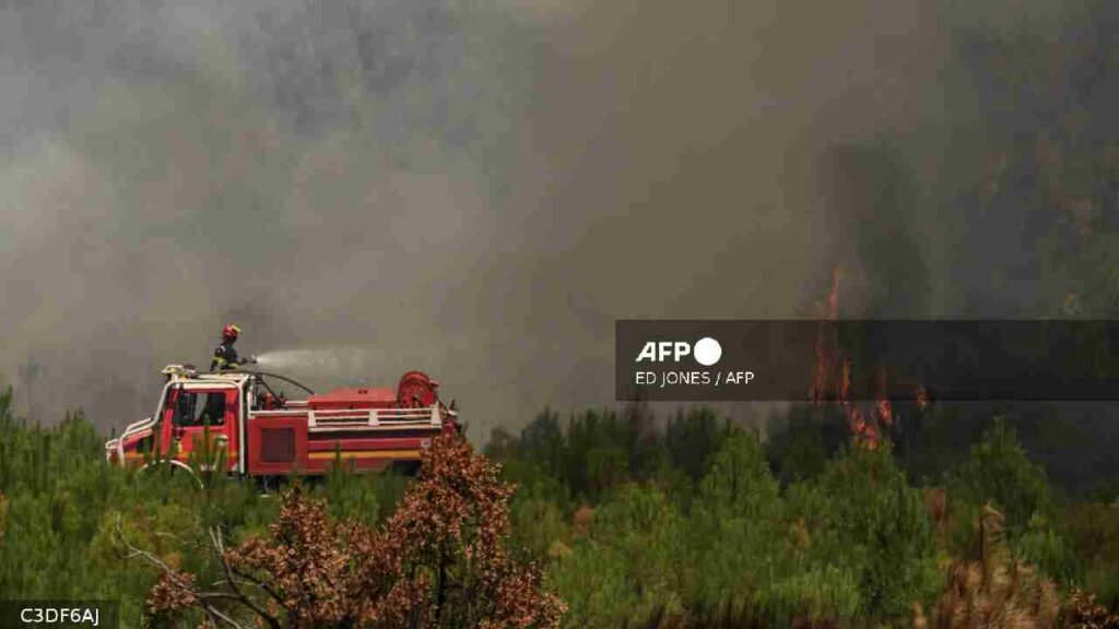 España y Francia luchan contra el fuego: incendios arrasan miles de hectáreas