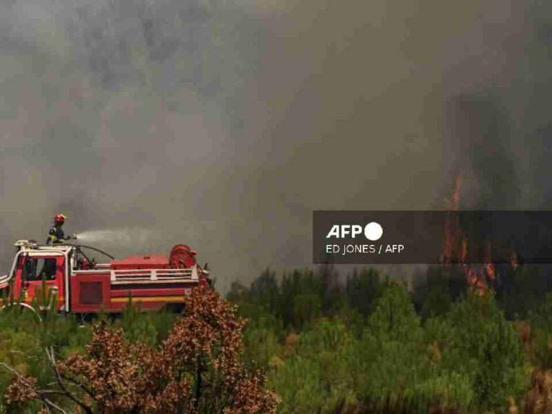 España y Francia luchan contra el fuego: incendios arrasan miles de hectáreas