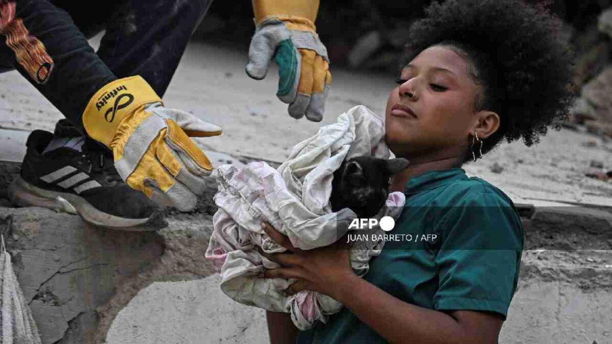 Mascotas esperan a sus dueños en Venezuela.