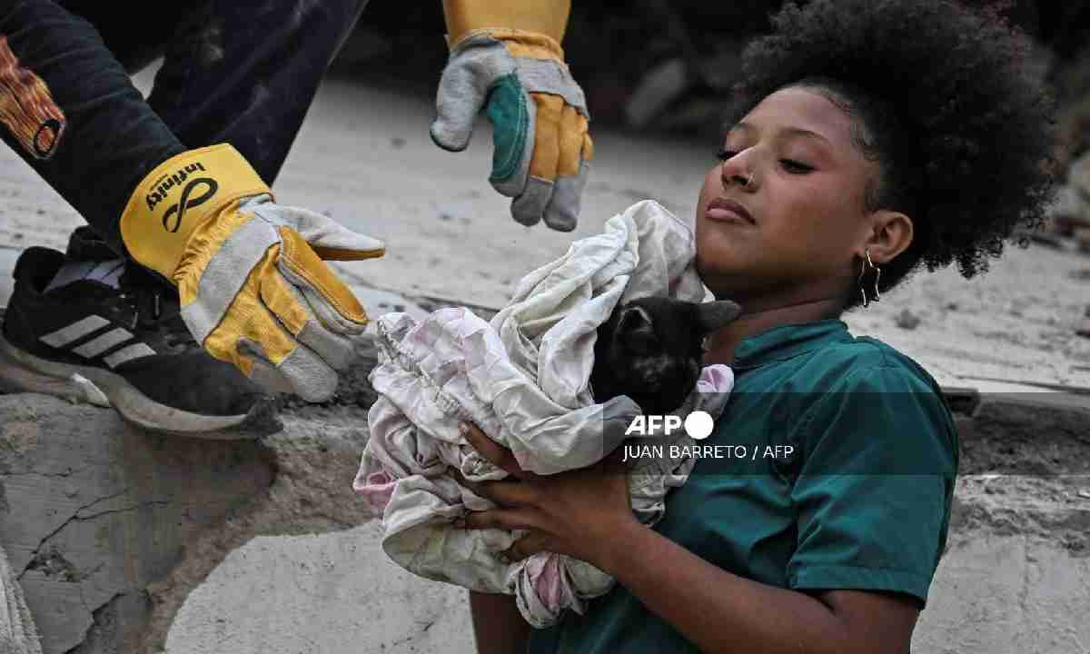 Mascotas esperan a sus dueños en Venezuela.
