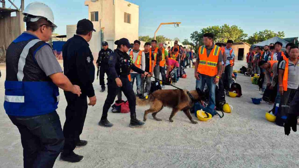 Operativos en obras de Costa Mujeres.