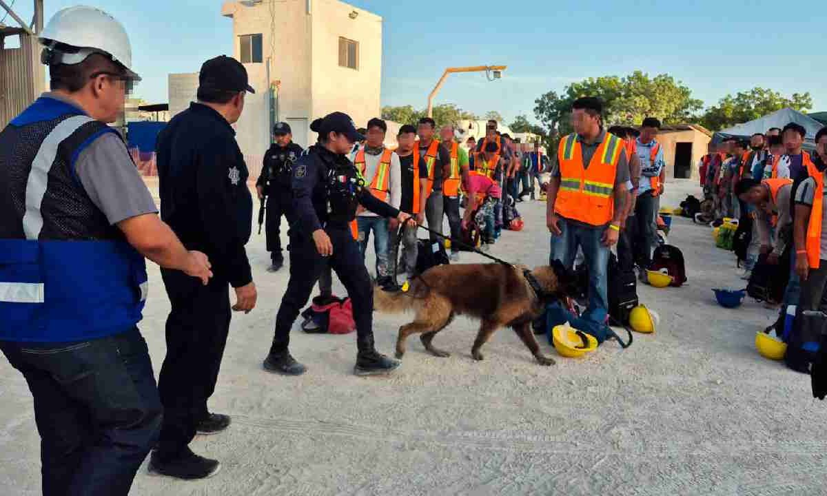 Operativos en obras de Costa Mujeres.