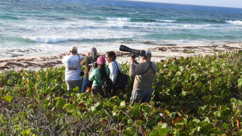 Pacto por Cozumel Regenerativo: Alianza por turismo sostenible