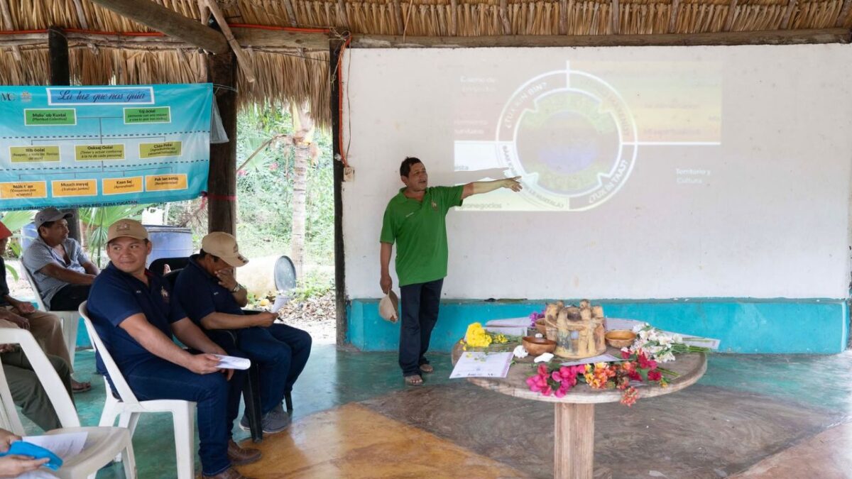 Rescate de la milpa maya y polinizadores en Quintana Roo