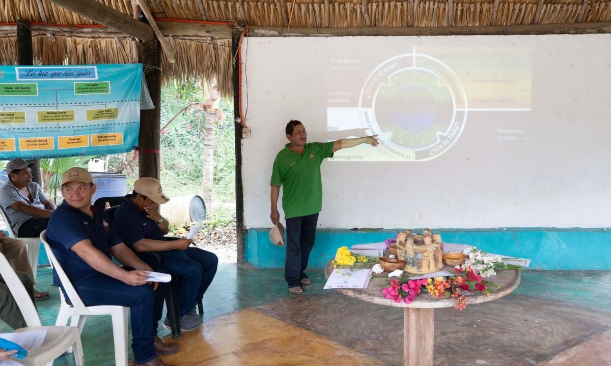 Rescate de la milpa maya y polinizadores en Quintana Roo