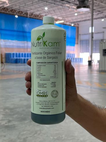 Podecibi Quintana Roo transformará el sargazo en industria