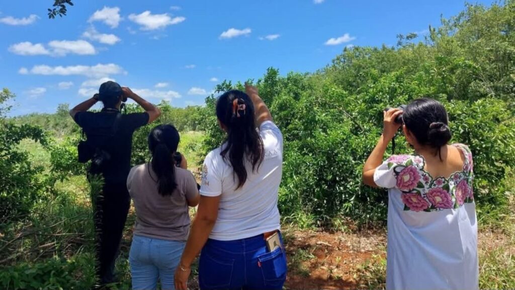 Turismo comunitario en Quintana Roo gana prioridad nacional