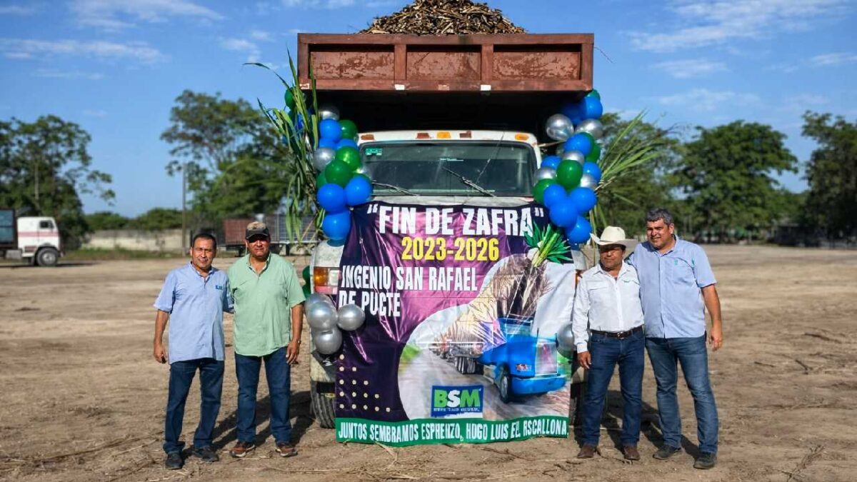 Baja la producción de zafra.