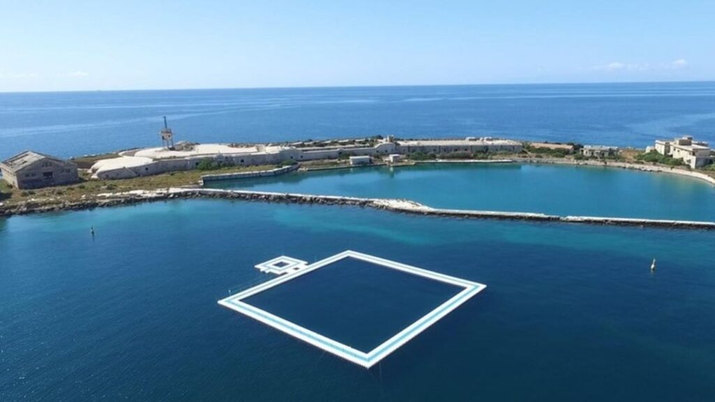 Santuario de delfines en Cozumel: proyecto histórico en el estado