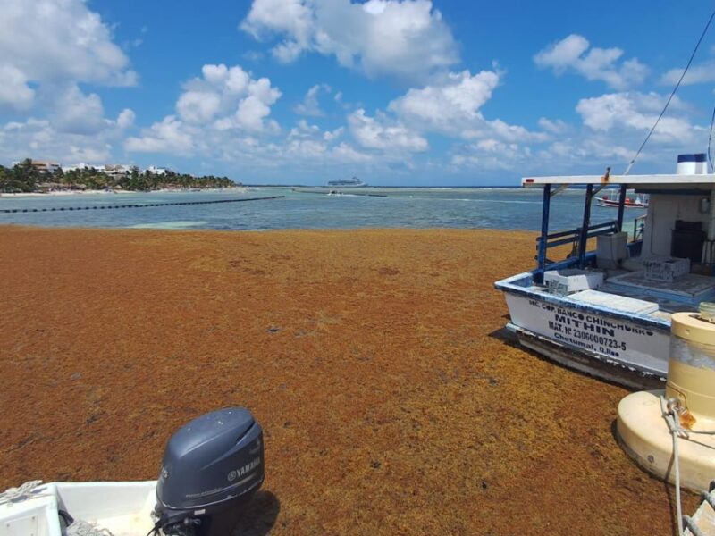 Con tecnología de compactación: Así operará el nuevo navío de la Marina contra el sargazo