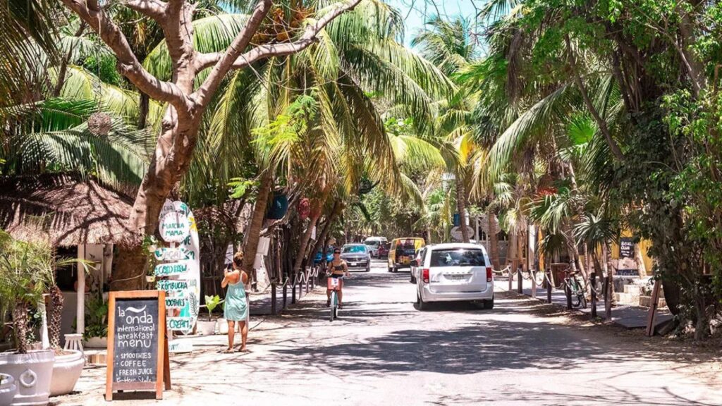 Exigen promoción ante el sargazo en el Caribe Mexicano