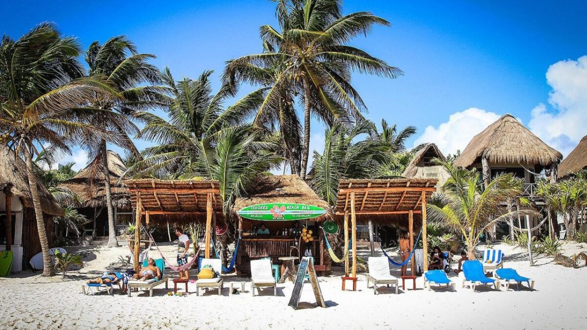 Exigen promoción ante el sargazo en el Caribe Mexicano