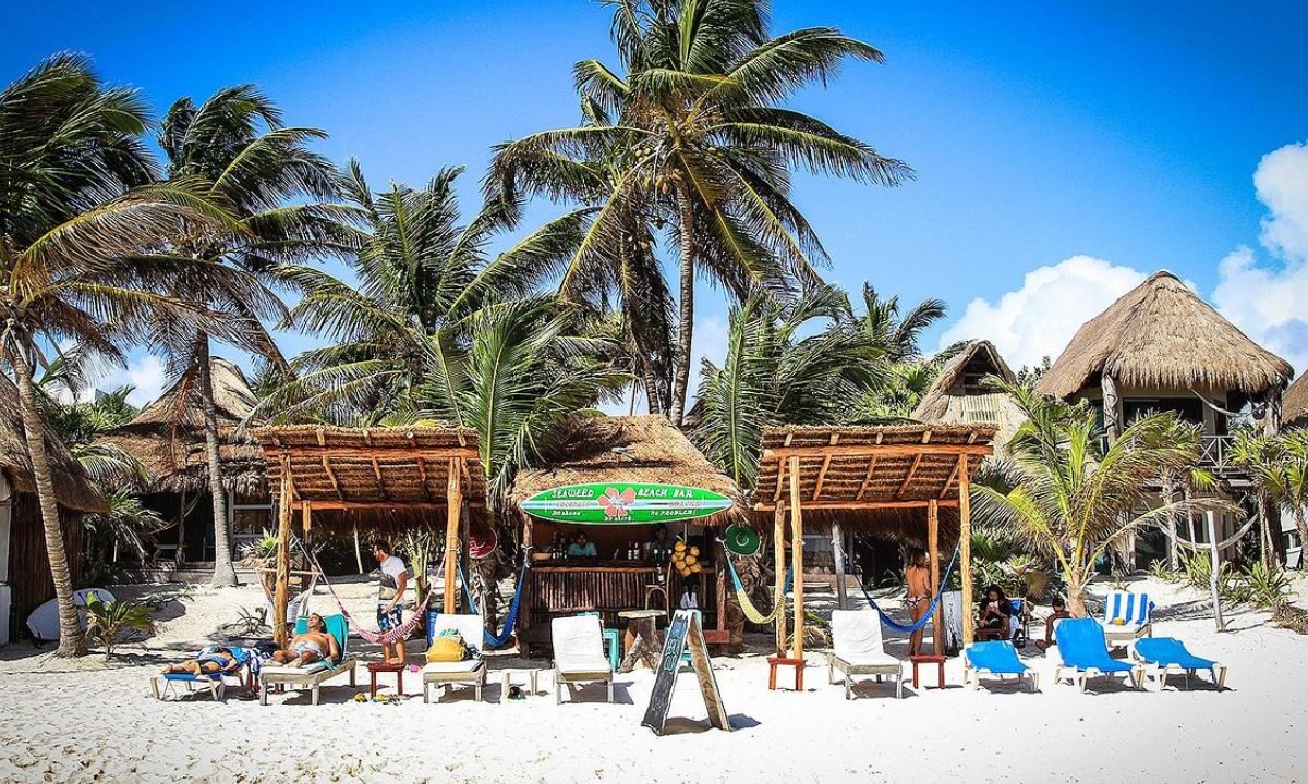 Exigen promoción ante el sargazo en el Caribe Mexicano