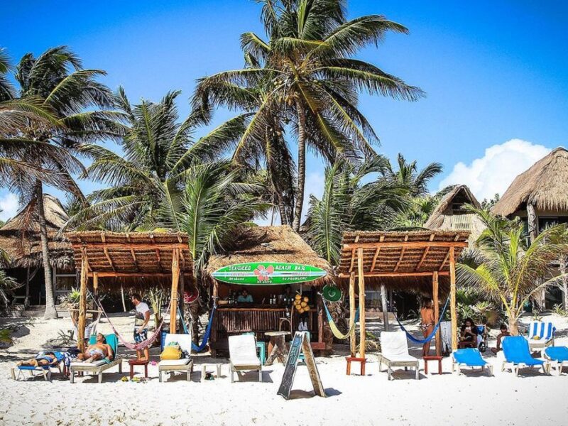 Limpiar playas no basta: Exigen estrategia nacional de promoción ante el sargazo en el Caribe Mexicano