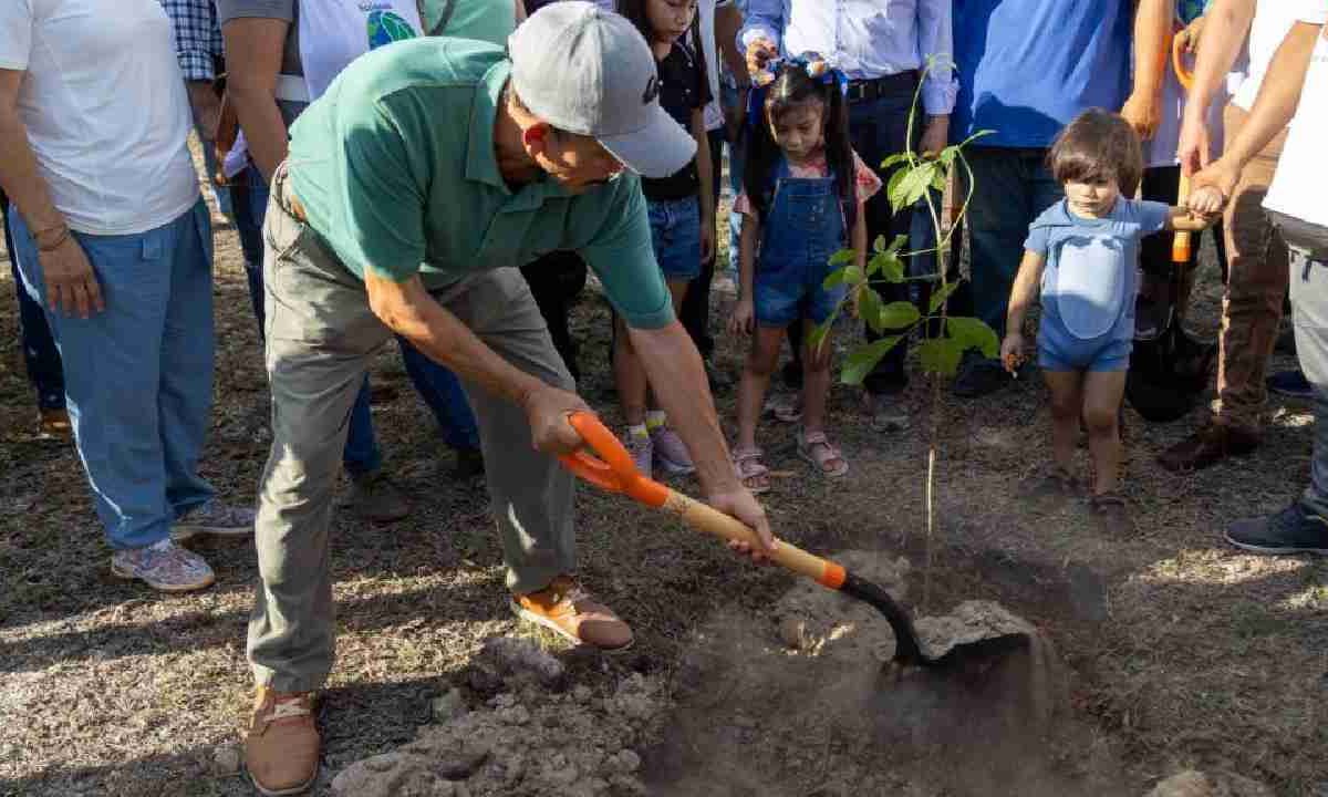 Fuerte campaña de reforestación en Cancún.