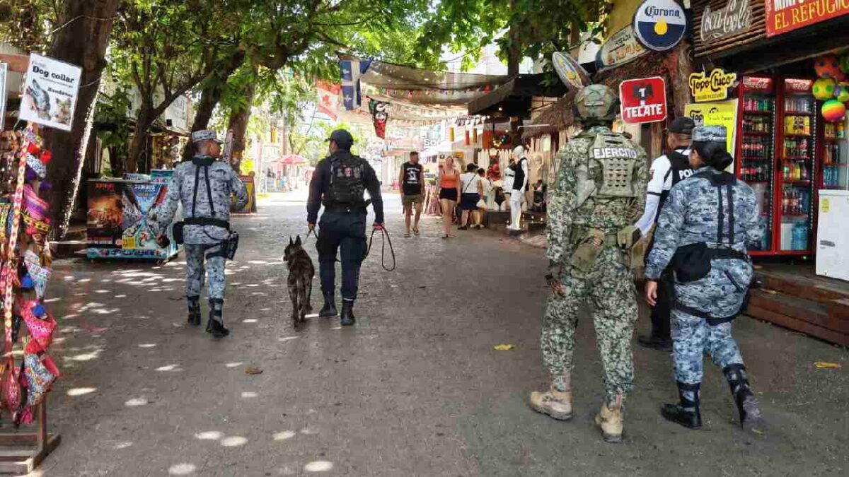 Mayor vigilancia en la Quinta Avenida.