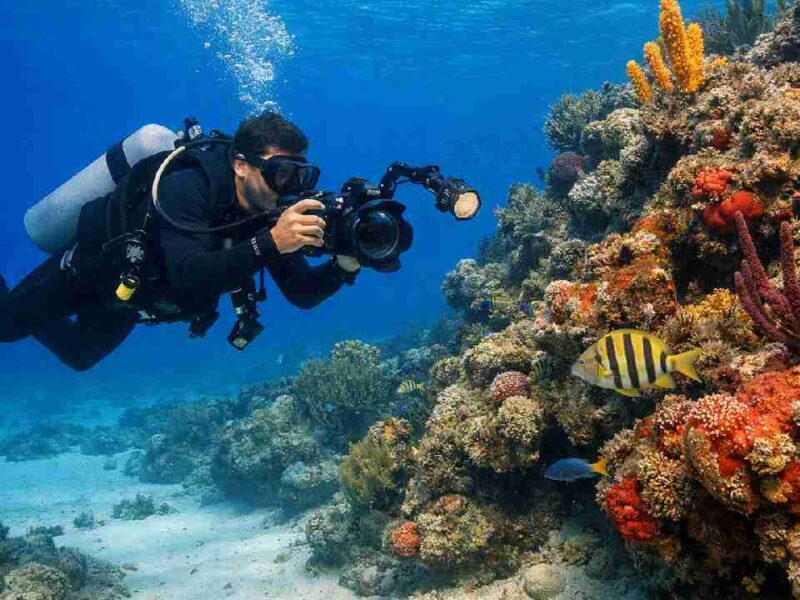 Buzos piden reglas claras para turistas que llegan con equipo especializado