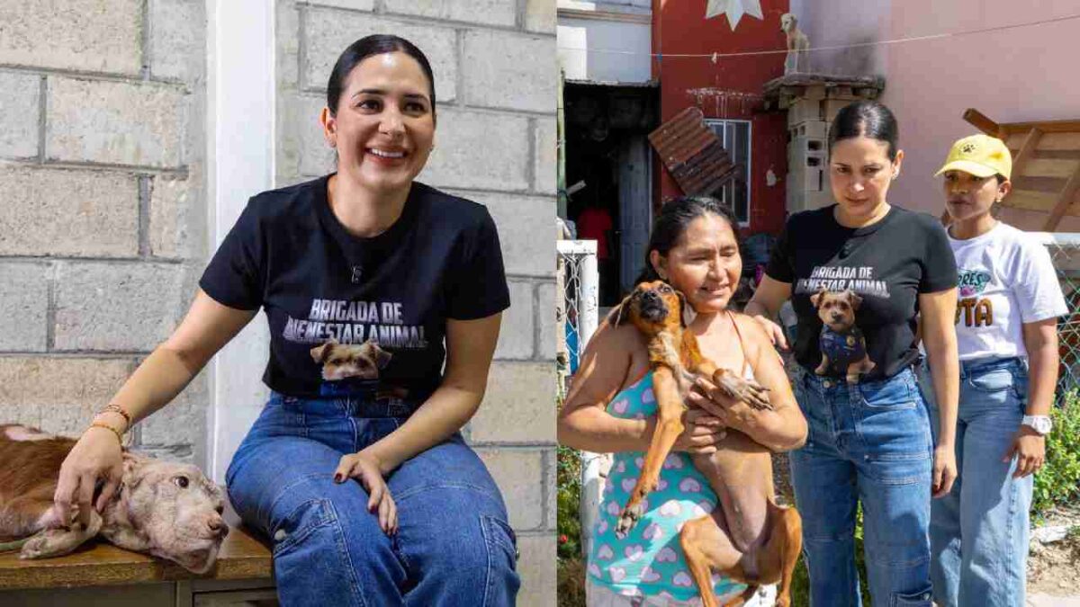 Estefanía Mercado ha realizado personalmente rescate de animales en situación de maltrato o abandono.