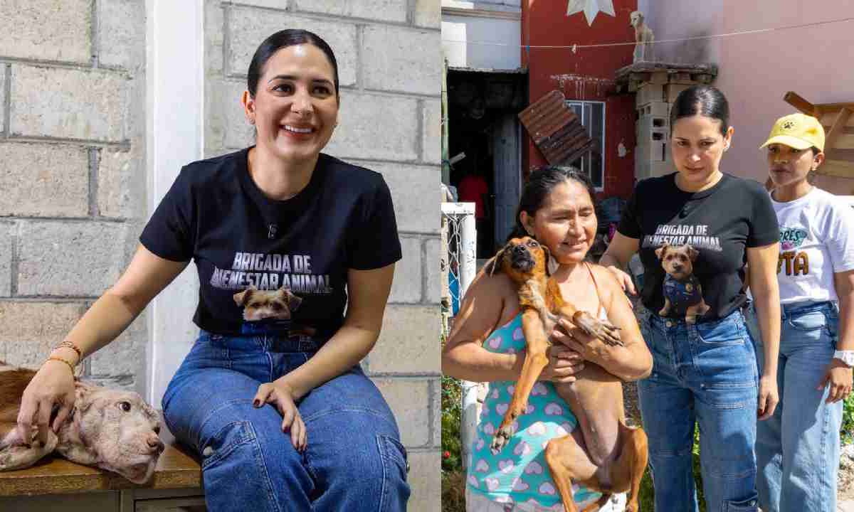 Estefanía Mercado ha realizado personalmente rescate de animales en situación de maltrato o abandono.