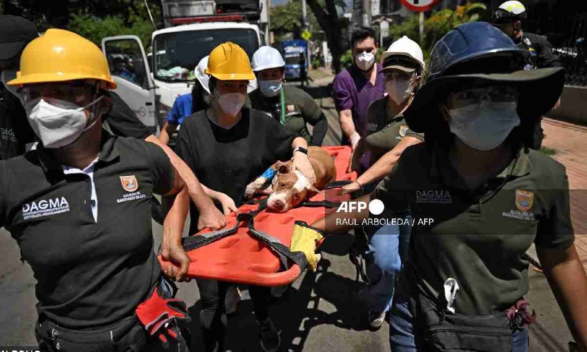 Hay muchos desaparecidos tras potente sismo en Colombia.