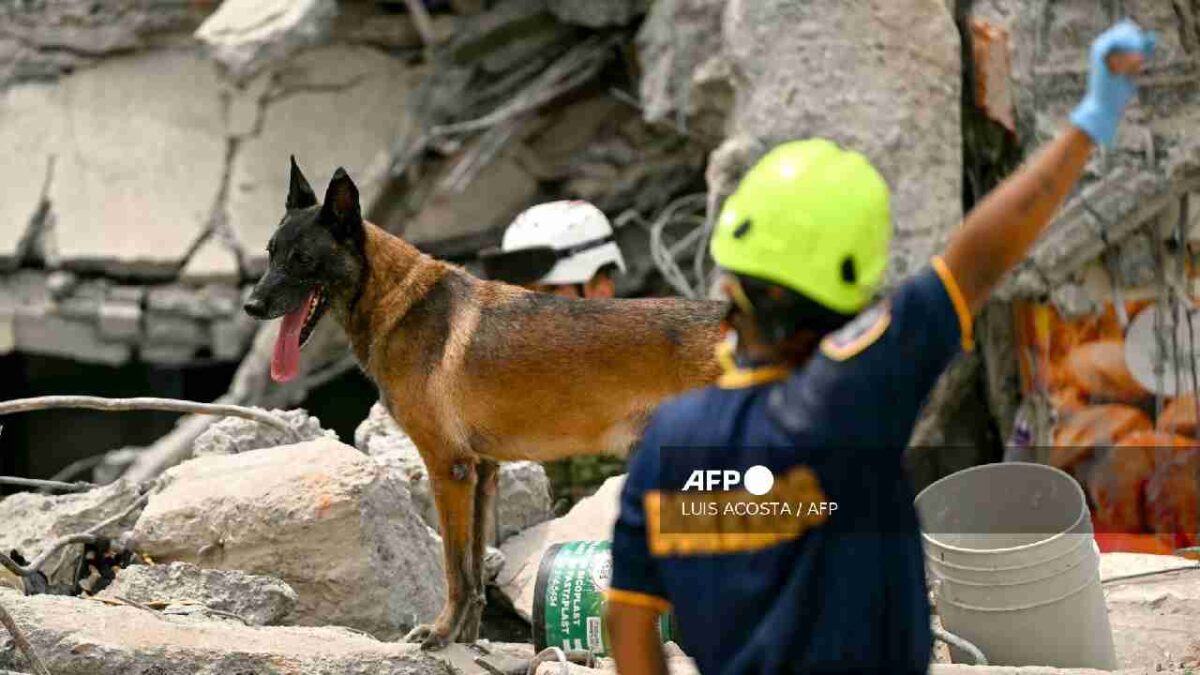 Buscan sobrevivientes en Colombia.