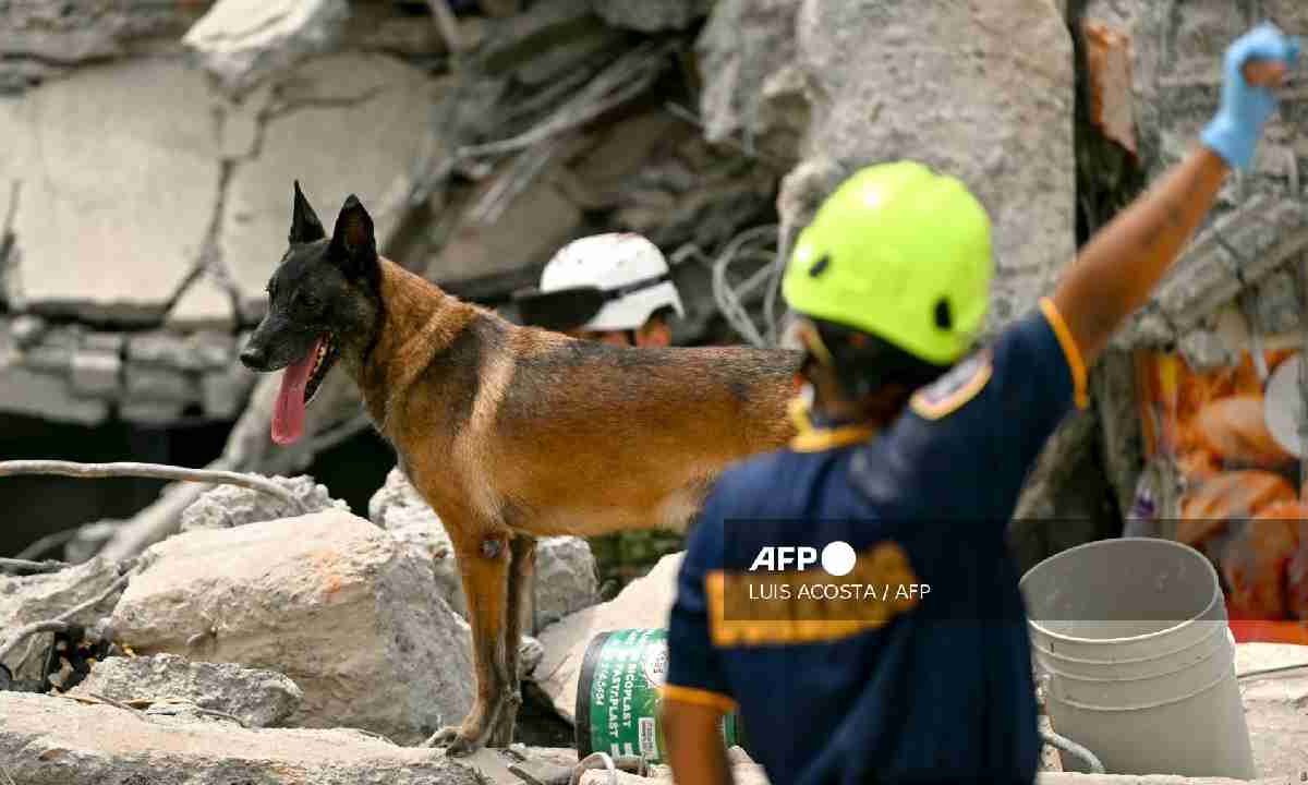 Buscan sobrevivientes en Colombia.