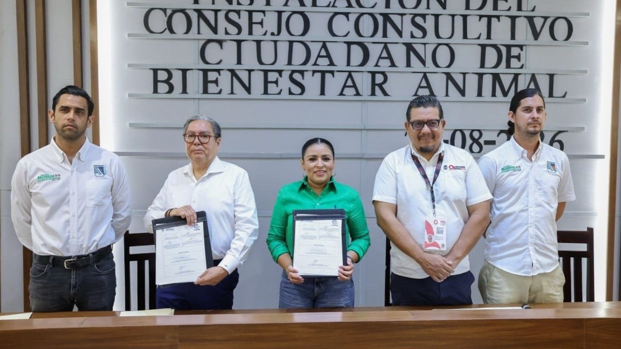 Instalan Consejo Consultivo de Bienestar Animal en Puerto Morelos